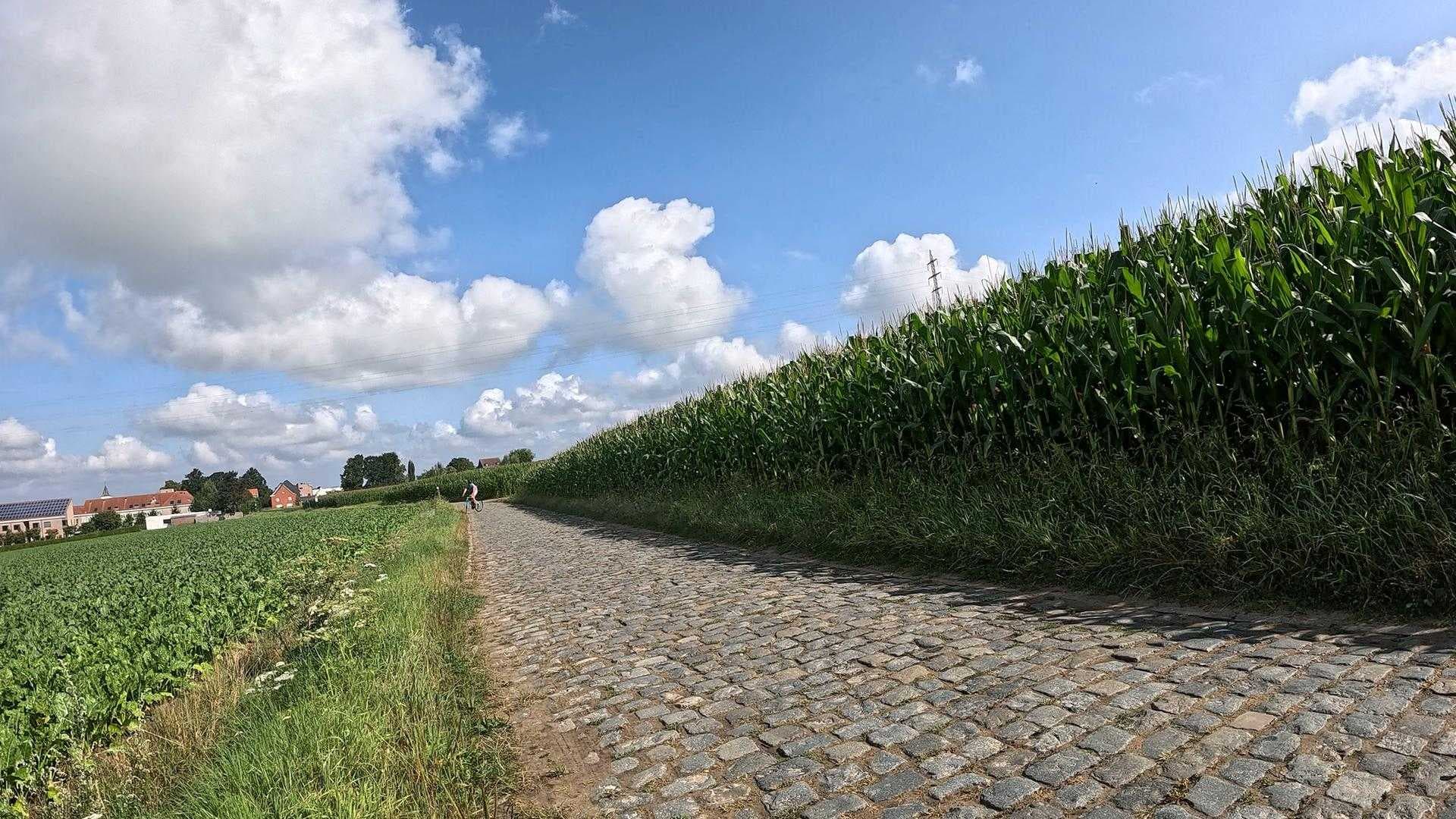 Cobblestone path winds through green fields and tall corn under a blue sky with clouds, featuring distant houses and a cyclist.