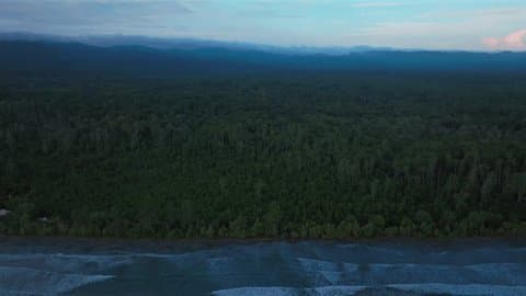 Wide landscape of the Vanimo Green coastline and calm Bismarck Sea waters under clear winter skies