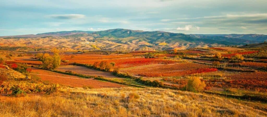 Autumn mountain valley with rolling hills, patchwork fields in red and gold, and a clear road winding through the landscape.