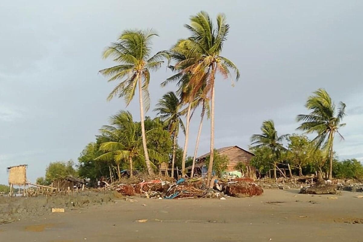 Wide landscape view of a sandy delta shoreline featuring tall coconut palms, rustic wooden structures, and scattered debris under an overcast sky.