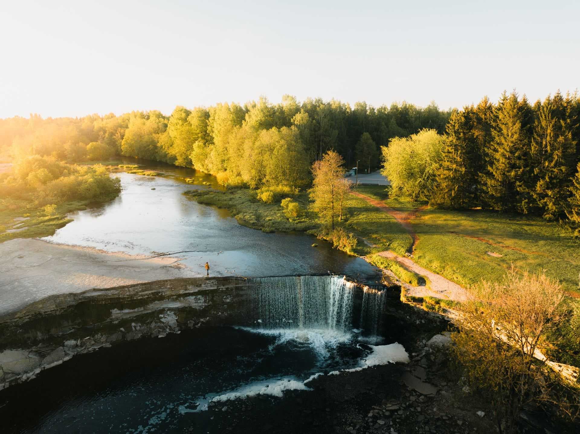 Aerial view of Jägala Waterfall in summer, featuring a lone figure standing on the rock ledge amidst lush green forests and golden sunlight.