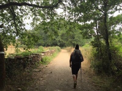 A hiker with a backpack walks away on a dirt path through a wooded rural landscape with a stone wall.