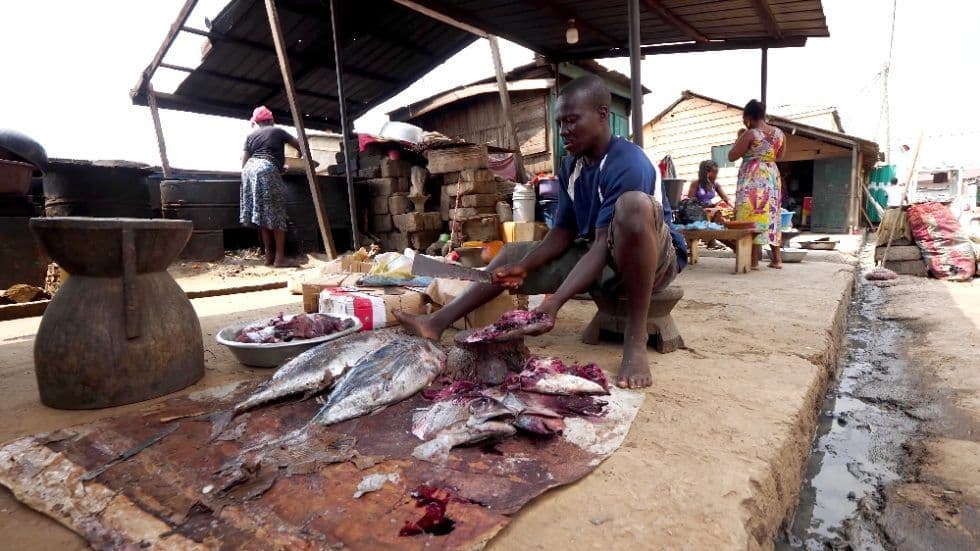 A man processes fish at an outdoor market stall in a Ghanaian coastal town, with other vendors and structures in the background.